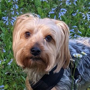 Meet your Posher, Blanca